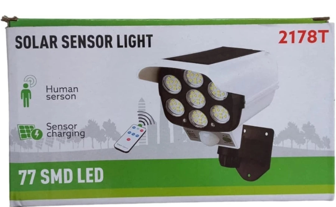 Remote Control Human Sensor Spotlight Garden lamp Solar Light Set